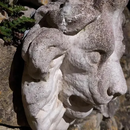 Mas Buissas 科尔尼永