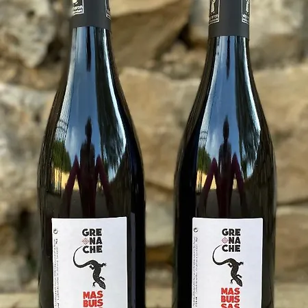 Mas Buissas 公寓 科尔尼永