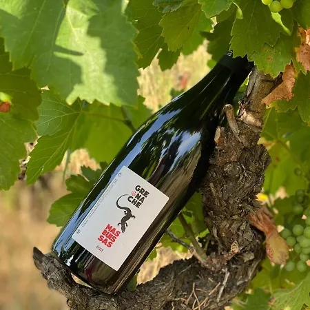 公寓 Mas Buissas *