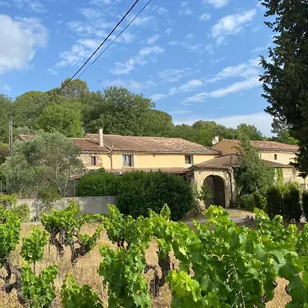 Mas Buissas 公寓 科尔尼永