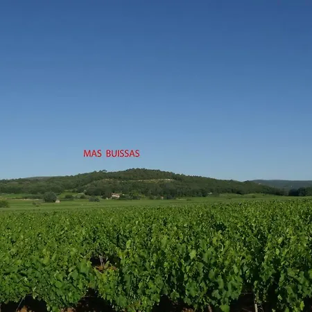 公寓 Mas Buissas 科尔尼永