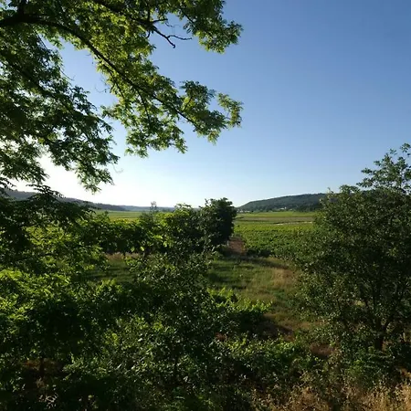 Mas Buissas 科尔尼永